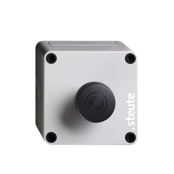 69169101 Steute   